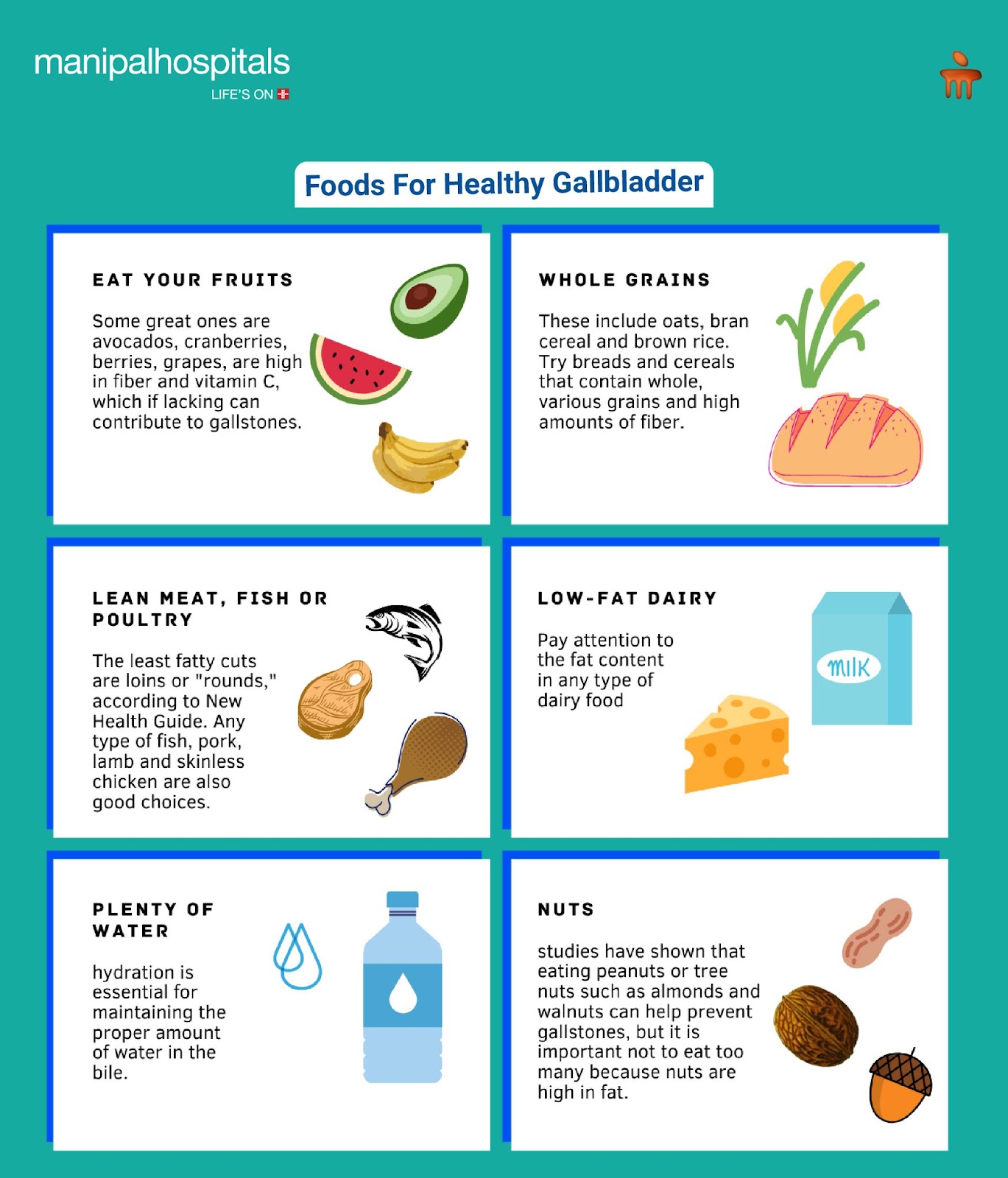 Low Fat Diet for Gallbladder